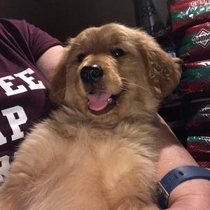 Meet your Posher, Kathi